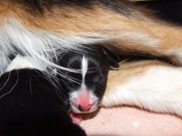 Photograph