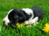 Photo Number 9